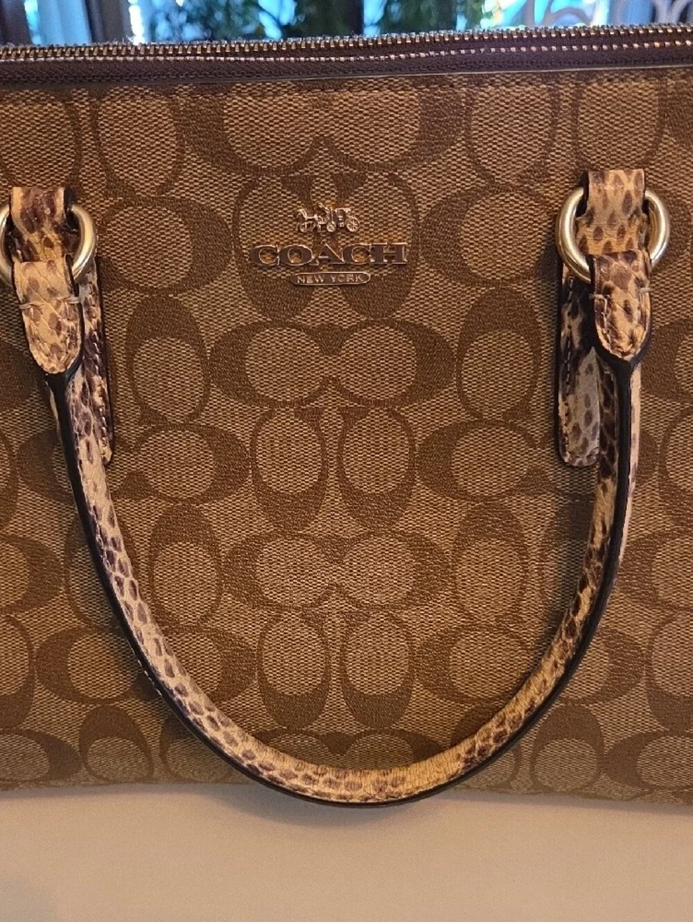 Coach Khaki Signature Satchel with Snake-Print Trim